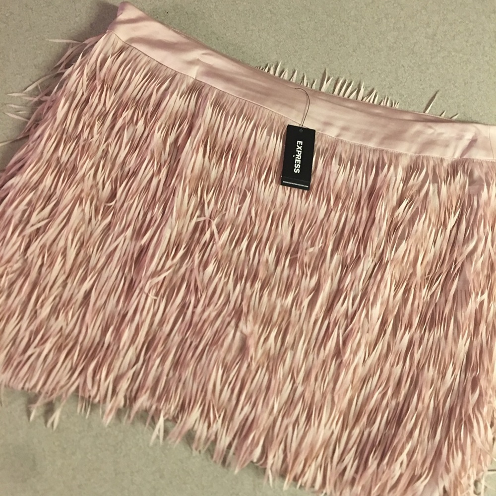 Express skirt (new with tags) size 10